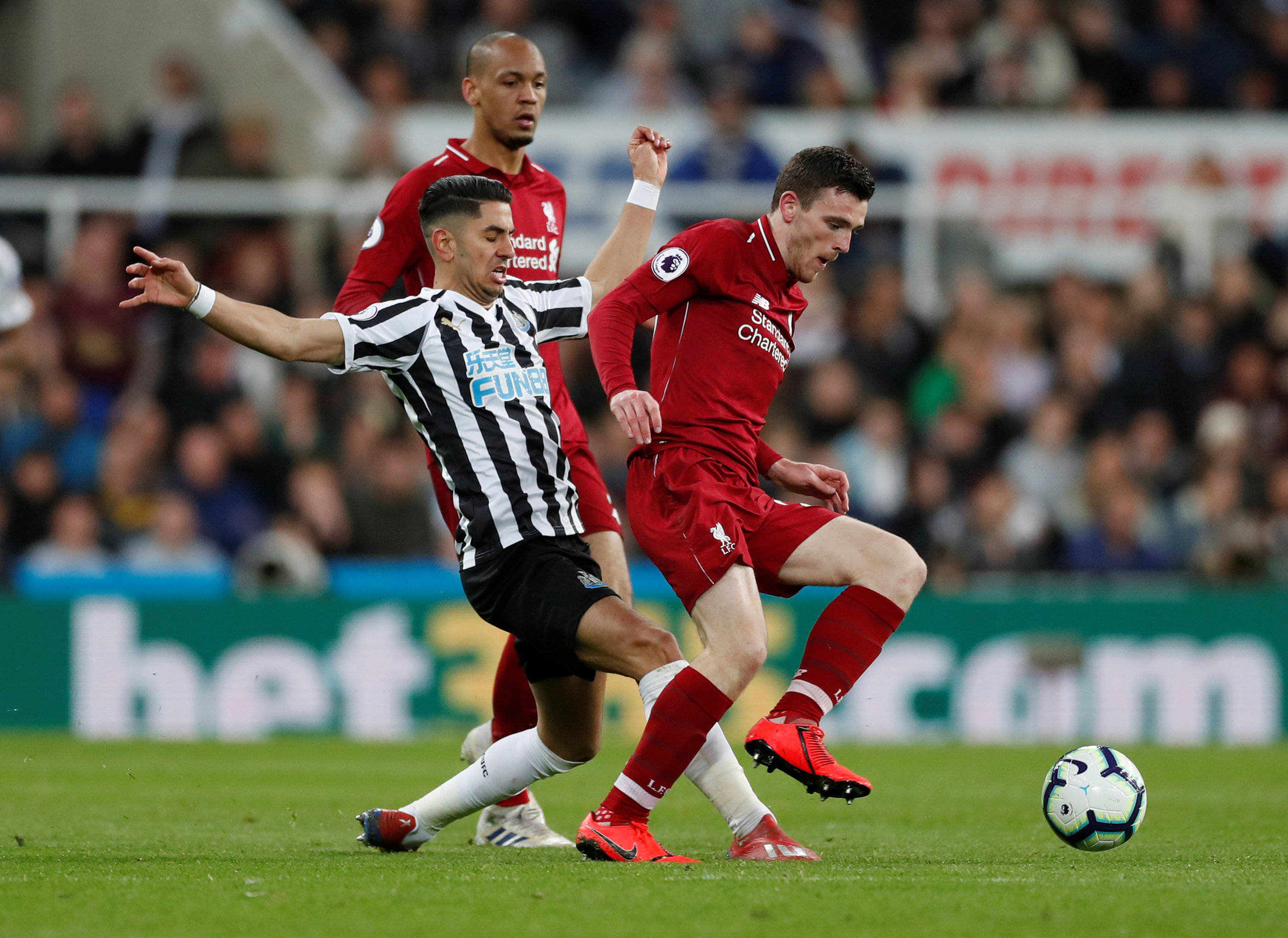 无所畏惧的 无所畏惧的